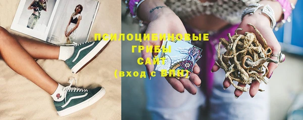 дмт Алзамай