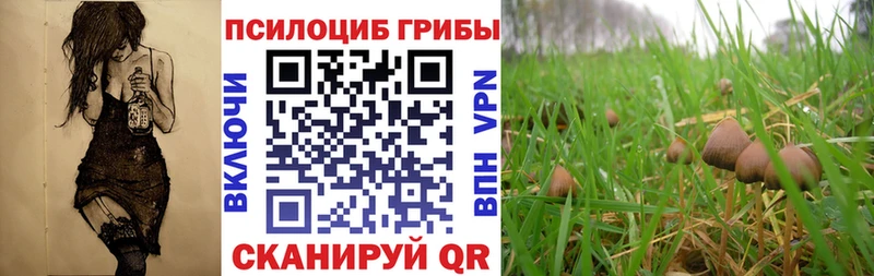 hydra зеркало  Отрадная  Галлюциногенные грибы Cubensis 